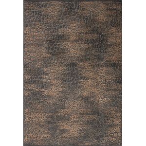 Vloerkleed Acsento Faro 880 Brown Black - maat 240 x 340 cm