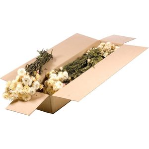 Gedroogde Bloemen Natuurlijk Wit Helichrysum - 1 bundel