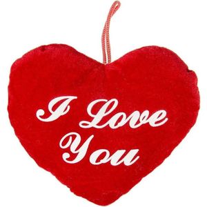 Pluche rood hart kussen I Love You 22 cm