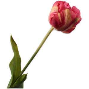 Silk-ka Kunstbloem-Zijden Bloemen Tulp Steel Paars-Roze 66 cm