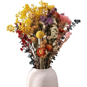 30-delige gedroogde bloemen decoratieset natuurlijk vergeet me niet roos gedroogde bloemen planten boeket boho decoratie voor woonkamer thuis bruiloft vazen ​​tafeldecoratie