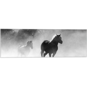 WallClassics - Vlag - Galoperende Paarden bij het Bos (Zwart-wit) - 60x20 cm Foto op Polyester Vlag