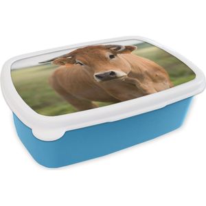 Broodtrommel Blauw - Lunchbox - Brooddoos - Koe - Hoorn - Portret - 18x12x6 cm - Kinderen - Jongen