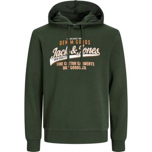 JACK&JONES PLUS JJELOGO SWEAT HOOD 2 COL 24/25 NOOS PLS Heren Trui - Maat EU4XL US2XL