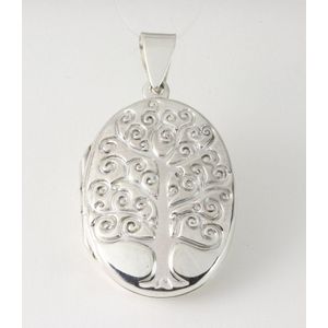 Ovaal zilveren medaillon met levensboom