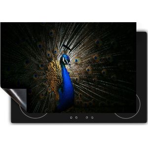 Chefcare Inductie Beschermer Blauwe Pauw met Grote Veren - 77x59 cm - Afdekplaat Inductie - Kookplaat Beschermer - Inductie Mat