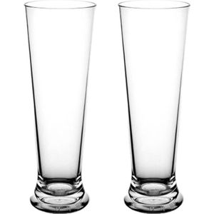 Bierglazen Op Voet - Plastic Bierglazen - 25cl - Transparant - 2 Stuks