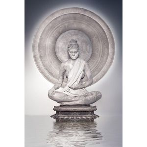 Buddha earth witness – 80cm x 120cm - Fotokunst op PlexiglasⓇ incl. certificaat & garantie.