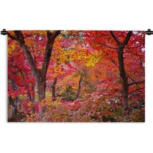 Wandkleed Esdoorn - Kleurrijke Japanse esdoorns Wandkleed katoen 150x100 cm - Wandtapijt met foto