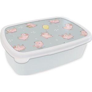 Broodtrommel Wit - Lunchbox - Brooddoos - Patronen - Varkens - Ballonnen - 18x12x6 cm - Volwassenen