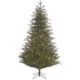 Black Box Trees Frasier Kunstkerstboom met LED Verlichting - H215 cm - Groen