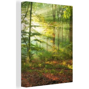 Canvas - Canvas natuur - Zon - Bladeren - Boom - Muurdecoratie - Kamer decoratie - 30x40 cm