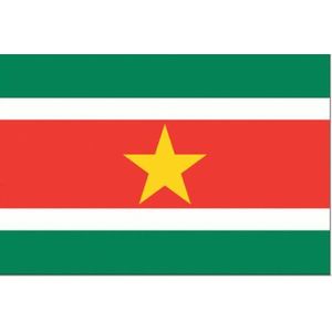Surinaamse vlag 150x225cm - Spunpoly