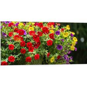 WallClassics - PVC Schuimplaat- Bloemenmadjes met Rode, Paarse en Gele Bloemen - 100x50 cm Foto op PVC Schuimplaat