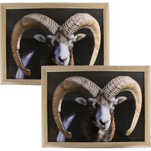 2x Stuks Schootkussens/Laptrays Ram/Schaap Print 33 X 43 cm