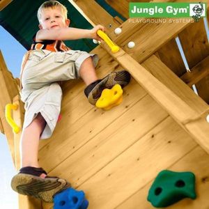 Jungle gym rock module