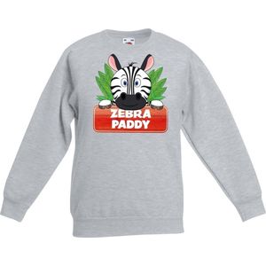 Paddy de zebra sweater grijs voor kinderen - unisex - zebra trui - kinderkleding / kleding 122/128