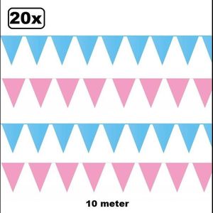 20x Vlaggenlijn roze en lichtblauw 10 meter