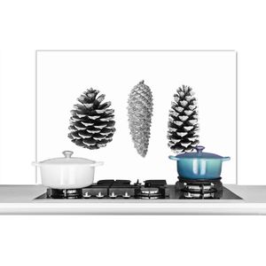 Spatscherm keuken 100x65 cm - Kookplaat achterwand Dennenappels - Natuur - Zwart wit - Wit - Herfst - Muurbeschermer - Spatwand fornuis - Hoogwaardig aluminium