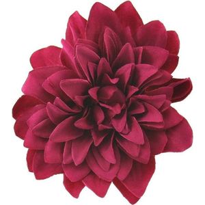 Zac's Alter Ego - Large chrysanthemum Haarbloem - Roze