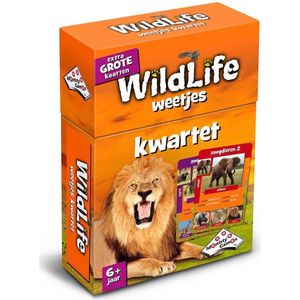 Identity Games Wildlife Kwartet spel - Leerzaam en leuk voor 2-4 spelers vanaf 6 jaar!