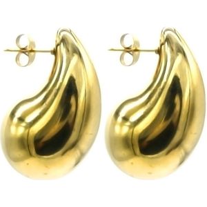 Oorstekers - goudkleurig - druppel - fashion - accessoire - vrouwen - all seasons - cadeau - tijdloos - hip