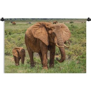 Wandkleed Baby olifant en moeder - Baby olifant met zijn moeder in het gras Wandkleed katoen 60x40 cm - Wandtapijt met foto