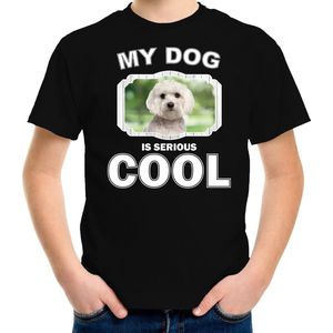 Maltezer honden t-shirt my dog is serious cool zwart - kinderen - Maltezers liefhebber cadeau shirt - kinderkleding / kleding 134/140