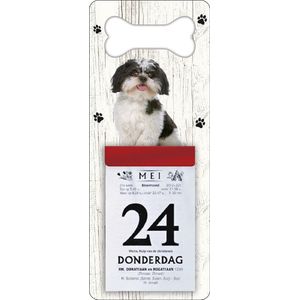 Scheurkalender 2024 Hond: Boomer