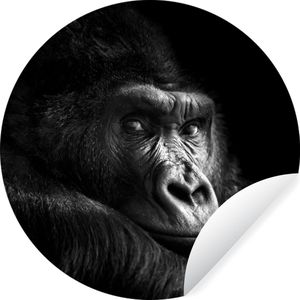 Behangcirkel - Zelfklevend behang - Gorilla - Aap - Zwart-wit - Portret - 100x100 cm - Cirkel behang - Behangcirkel dieren - Wanddecoratie rond - Slaapkamer