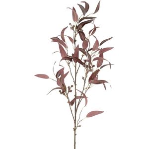 Countryfield Kunstbloem Eucalyptus L indischrood 21cm.