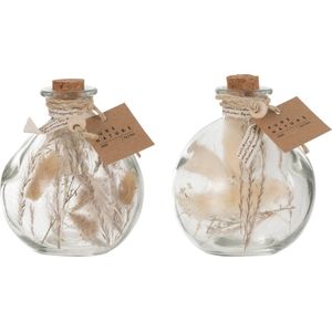 J-Line Fles Met Gedroogde Bloemen Glas Naturel Small Assortiment Van 2