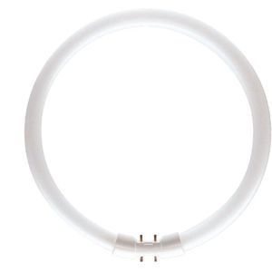 Traditionele ronde TL5 TL-buis 2GX13 40W/830 | 30.5cm | 2GX13 (4 pins) | Warm Wit | 40 watt | 12.000 Branduren