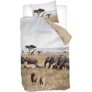 Snoozing African Animals - Dekbedovertrek - Eenpersoons - 140x200/220 cm - Multi kleur