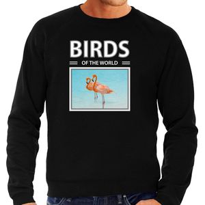 Dieren foto sweater Flamingo - zwart - heren - birds of the world - cadeau trui Flamingos liefhebber M
