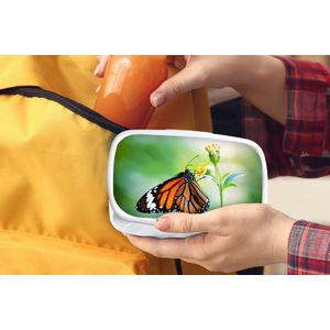Broodtrommel Wit - Lunchbox - Brooddoos - Vlinder - Bloemen - Insecten - 18x12x6 cm - Volwassenen