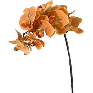 Viv! Home Luxuries Orchidee Phalaenopsis - zijden bloem - geel - 70cm