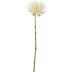 J-Line bloem Chrysant Mini - kunststof - wit - small - 24 stuks