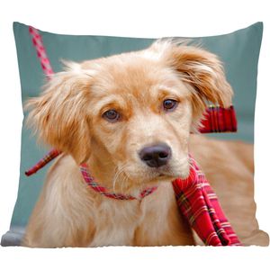 Sierkussen - Golden Retriever Pup Met Strik - Bruin - 40 Cm X 40 Cm