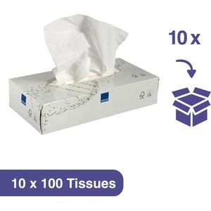 Care-Ness Facial Tissues Excellent - Tissue Box - Tissues Voordeelverpakking - 10 x 100 Tissues - 2 laags