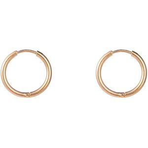 Go Dutch Label Oorringen (2x 1.5cm) Goud