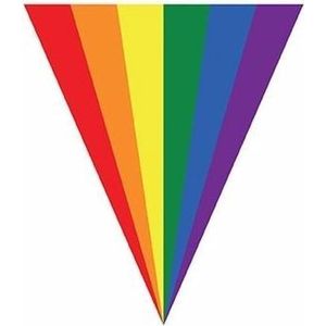 Gay pride regenboog slinger vlaggenlijn 5 meter
