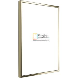 Aluminium Wissellijst 40 x 50 Glans Goud - Ontspiegeld Glas - Art.nr.: 048-001