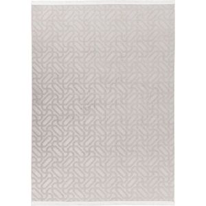 Damla | Laagpolig Vloerkleed | Grey | Hoogwaardige Kwaliteit | 160x220 cm
