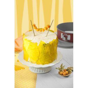 Klassieke Plus Springvorm Cakevorm 26 cm met platte bodem, Ronde Bakvorm, Lekvrij, Rood & Inspiratie Mini Springvorm Cakevorm 20 cm rond, platte bodem, Bakvorm, Kleine Springvorm
