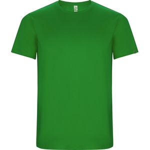 Varen Groen unisex ECO CONTROL DRY sportshirt korte mouwen 'Imola' merk Roly maat XXL