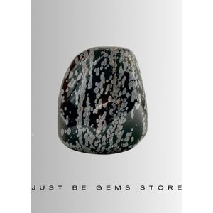 Edel-gedenk-steen Staande Obsidiaan Sneeuwvlok