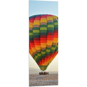 WallClassics - Vlag - Meerkleurige Luchtballon Geland op Woestijn - 40x120 cm Foto op Polyester Vlag