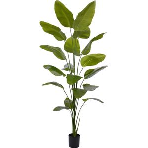 Strelitzia Nicolai kunstplant 225cm