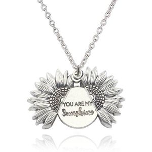 Lumici® | Sunshine Ketting - Zonnestraal Ketting - You Are My Sunshine - Jij Bent Mijn Zonnestraal - Straal - Sun - Shine - Zon - Licht - Bedankt - Bedankje - Cadeau Voor Vrouwen - Moederdag Cadeau - Valentijn - Liefde - Verrassing - Goud & Zilver